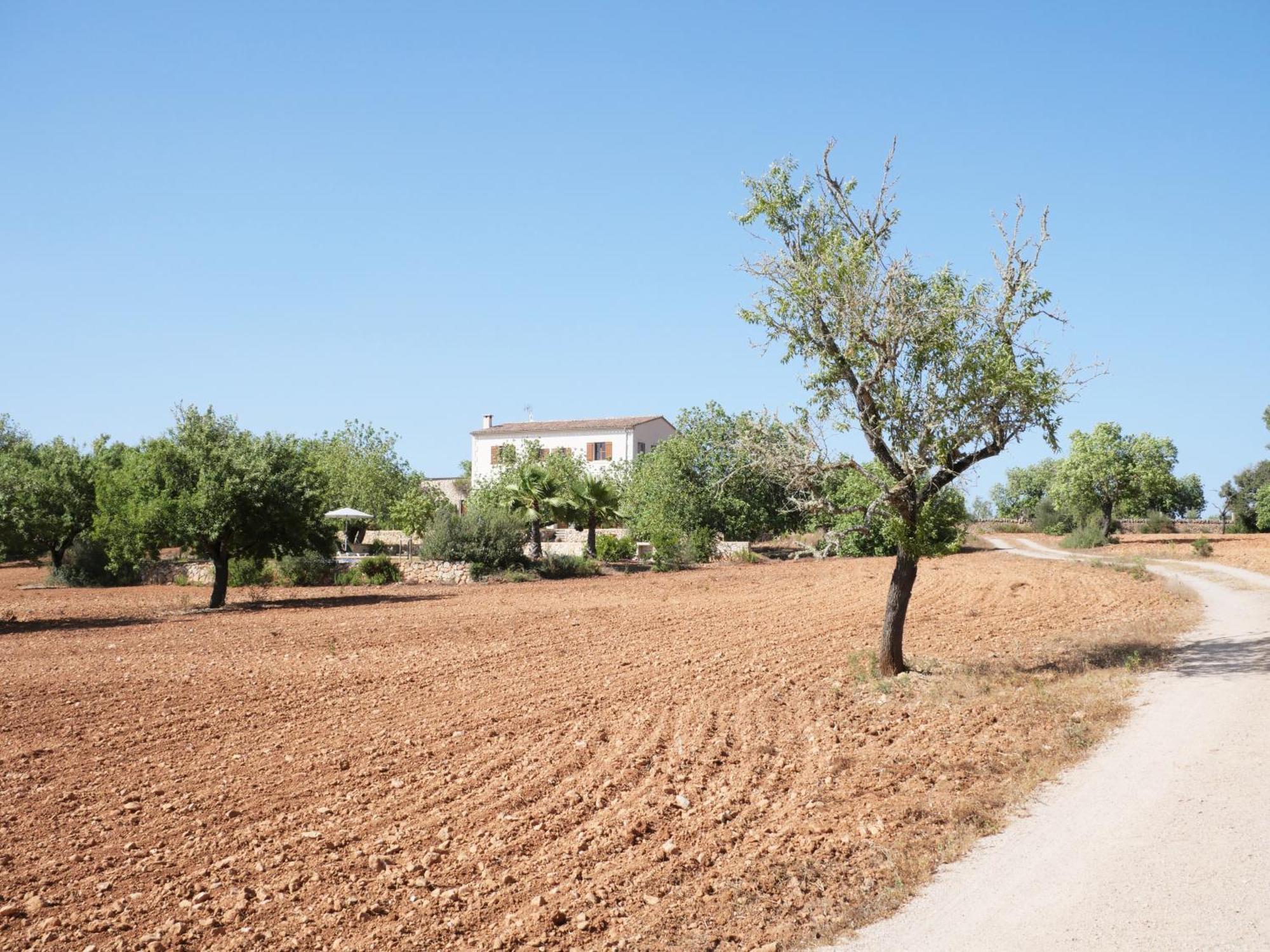La Querida Feriehus Campos (Mallorca)